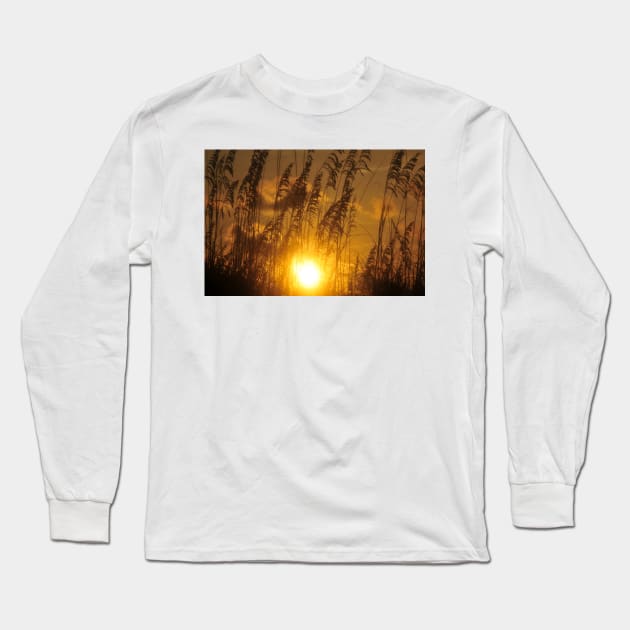 Sea Oats sunset Long Sleeve T-Shirt by dltphoto